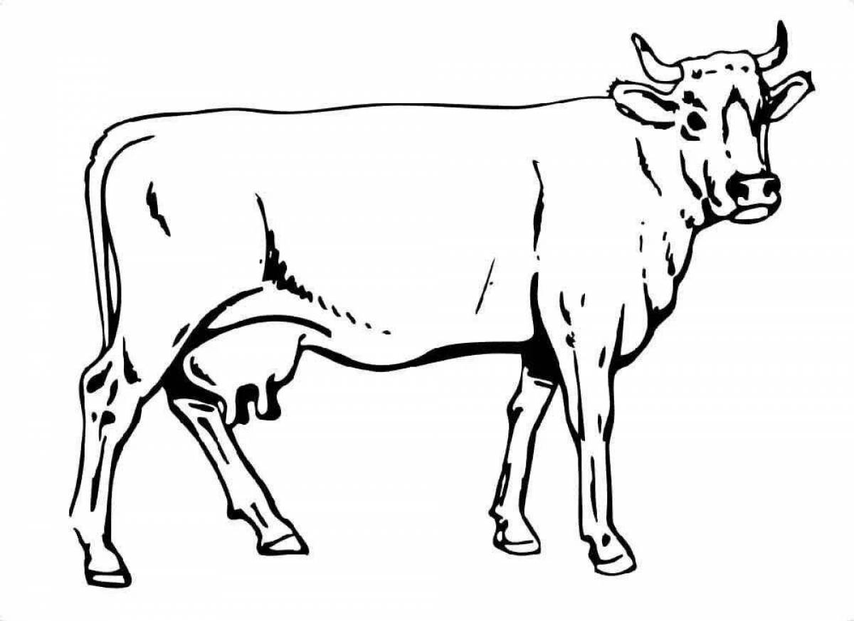 Страница раскраски коров