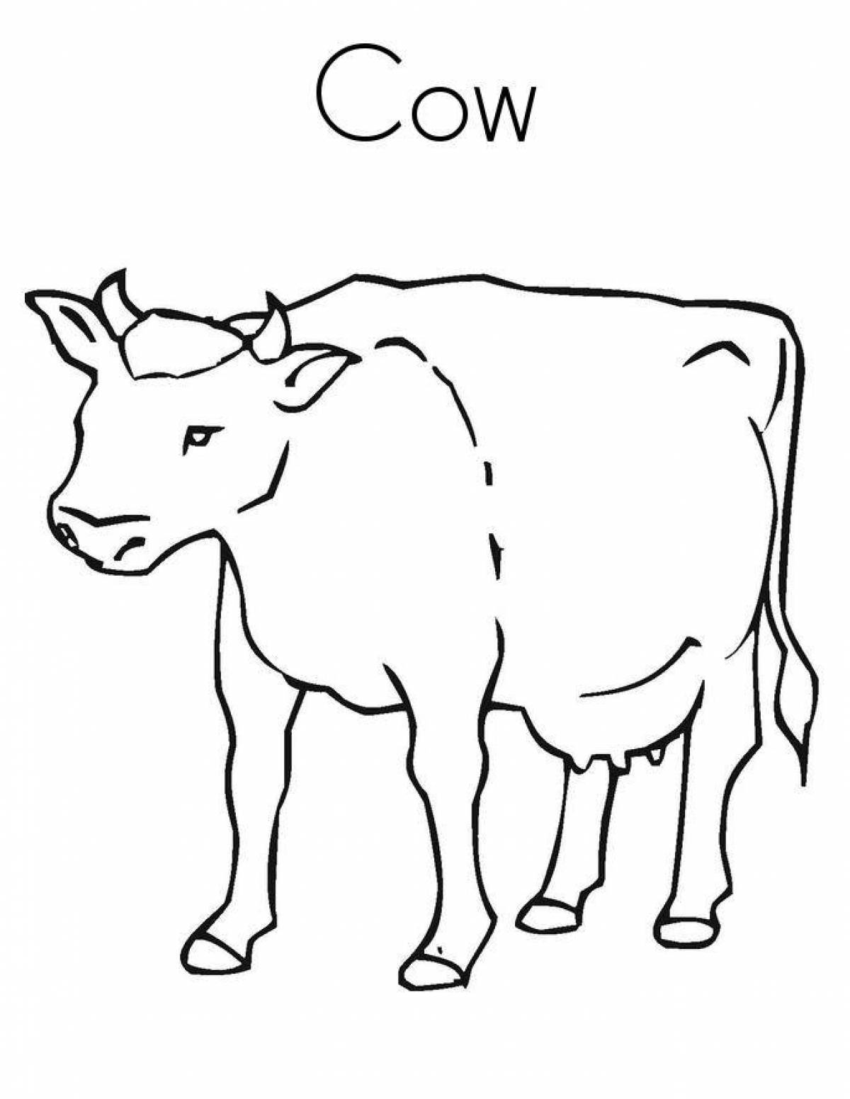 Cow#11