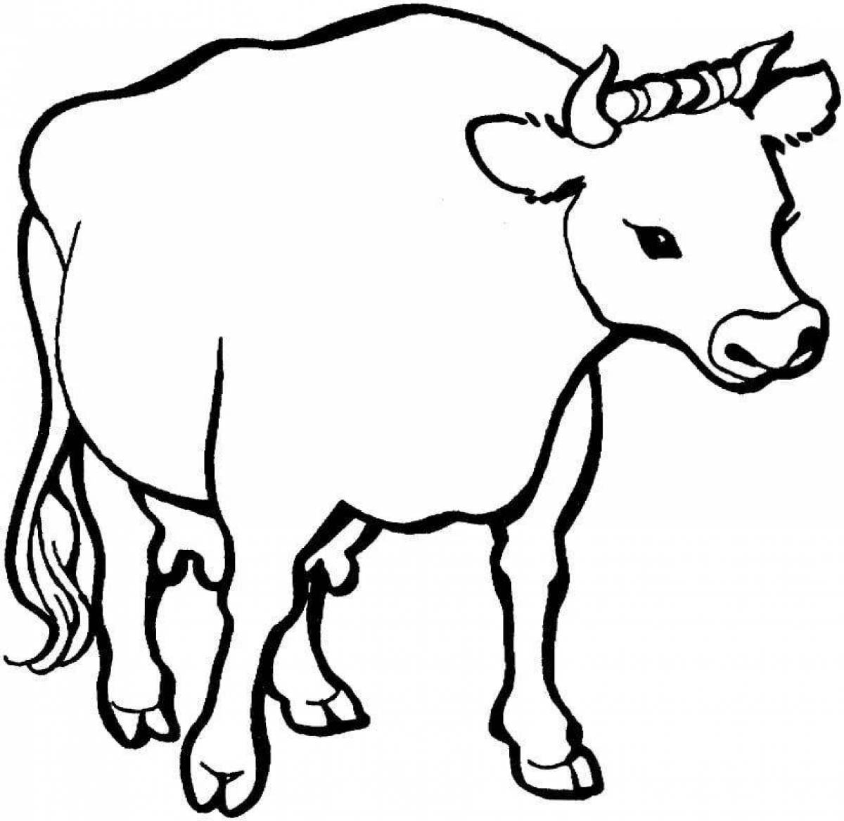 Cow #12