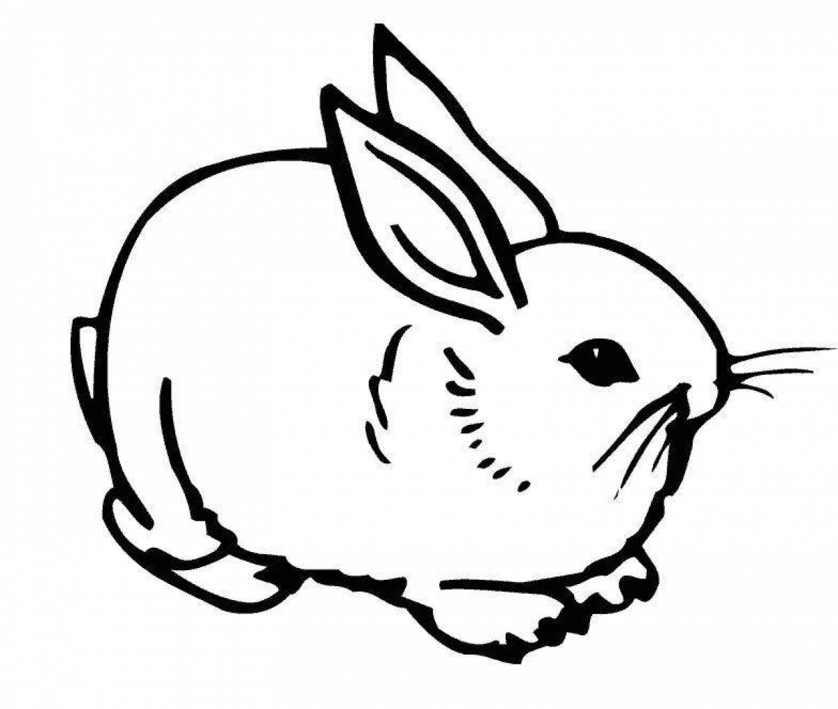 Coloring book charming bunny