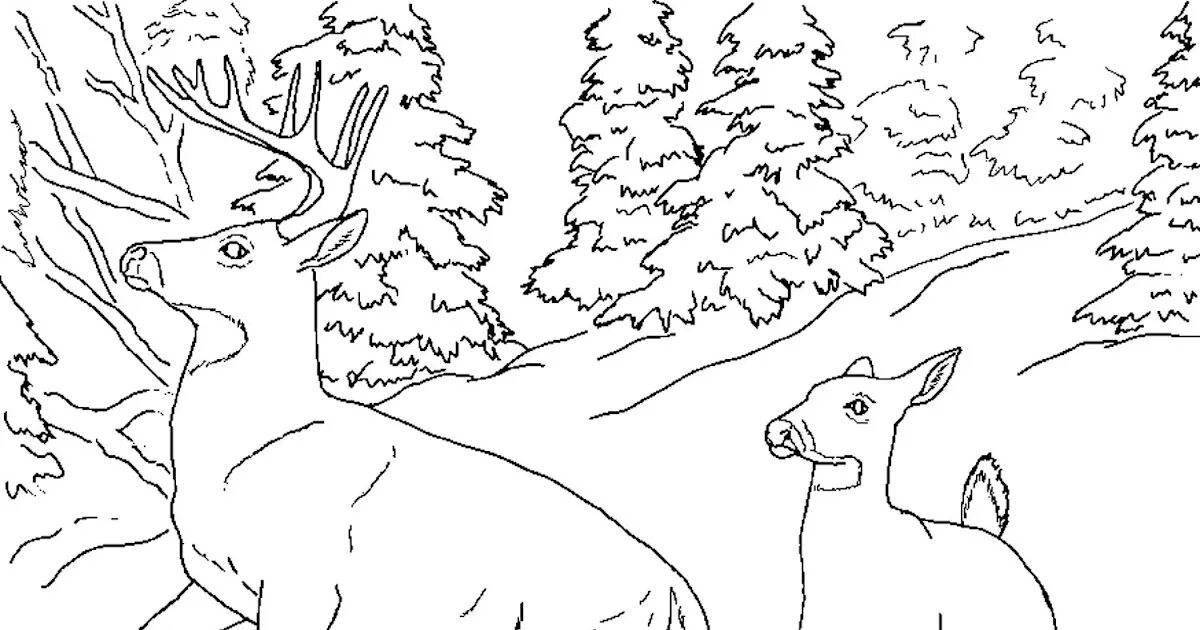 Coloring page exquisite Russian stocks