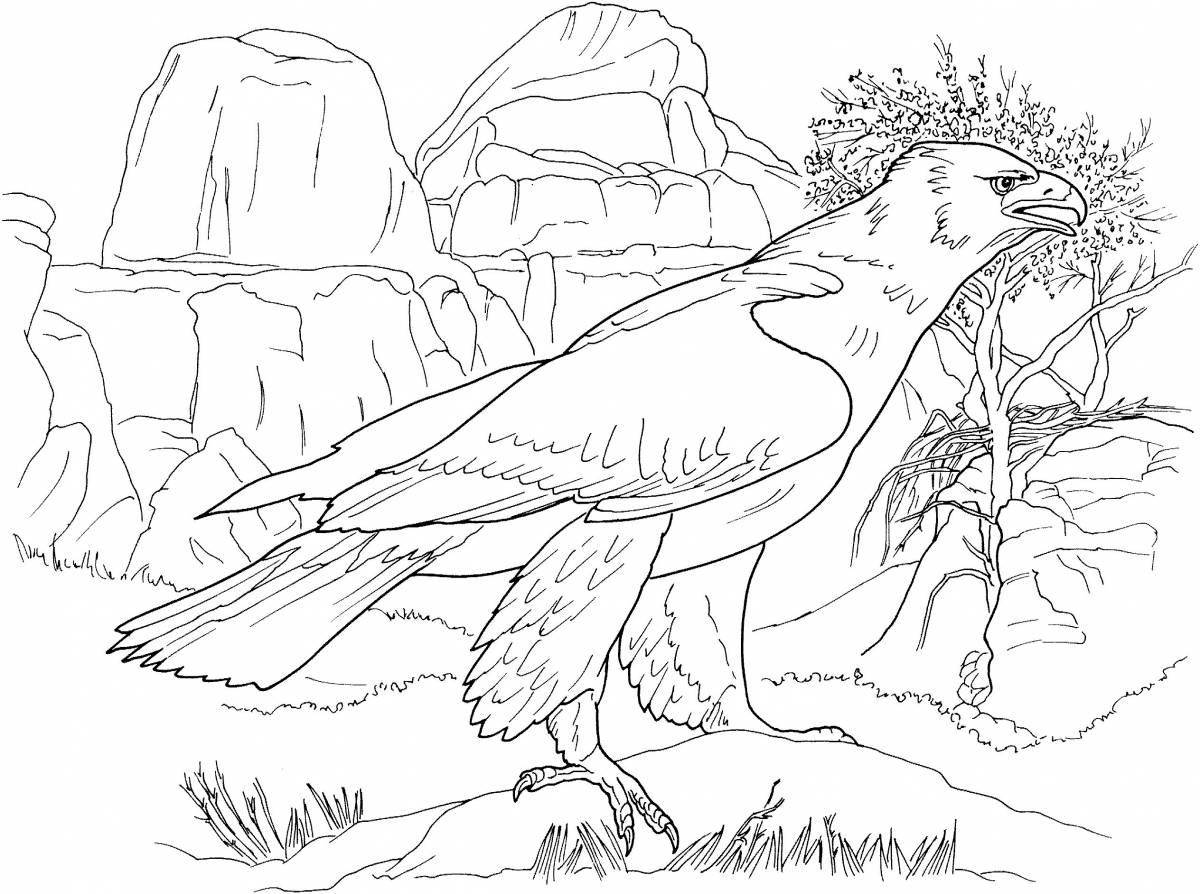 Coloring book charming Russian nature reserves
