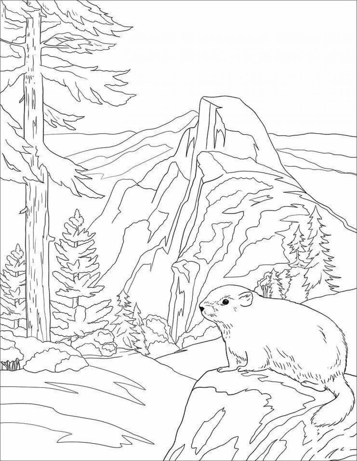 Раскраска готовые российские резервы