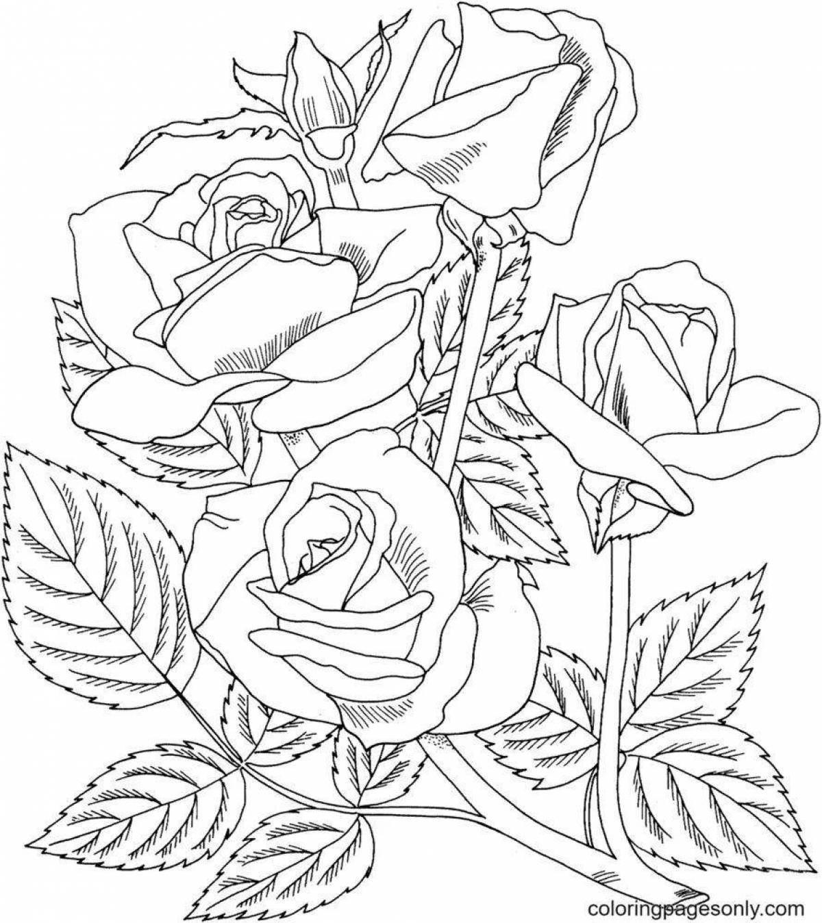 Amazing coloring pages with roses