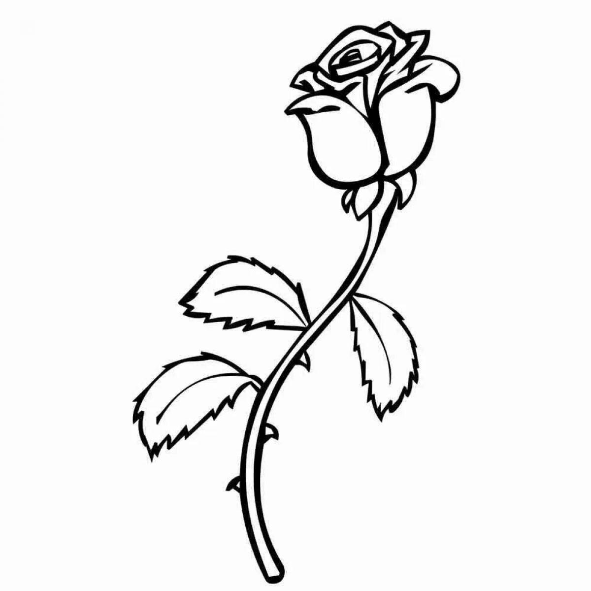 Coloring pages with roses