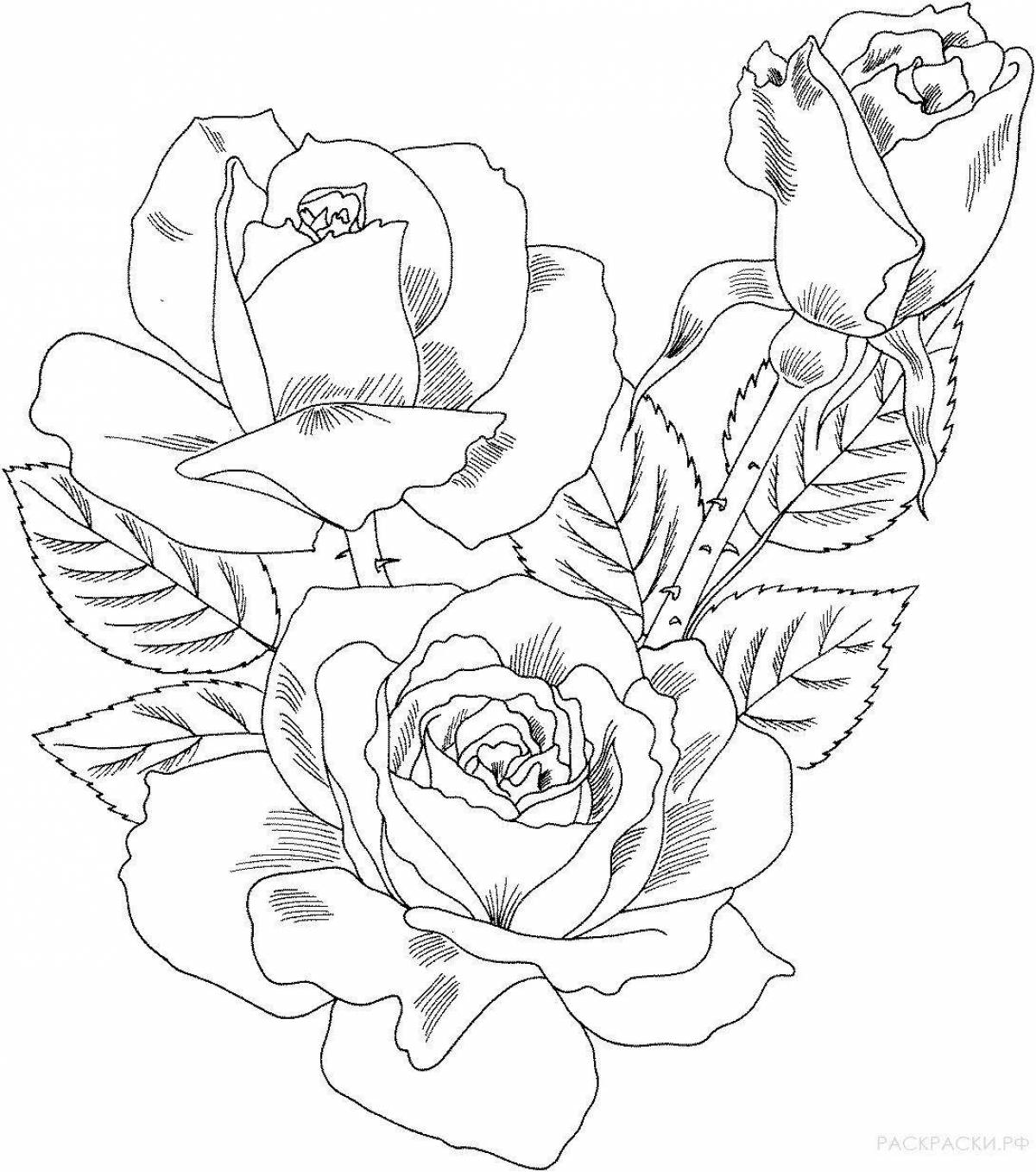 Shine rose coloring pages