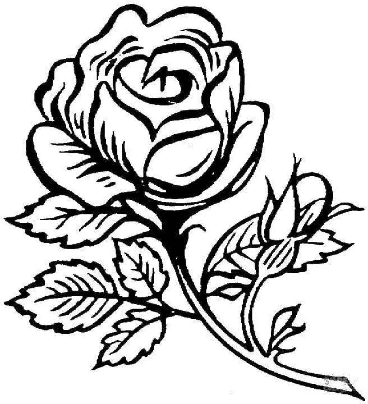 Brilliant rose coloring pages