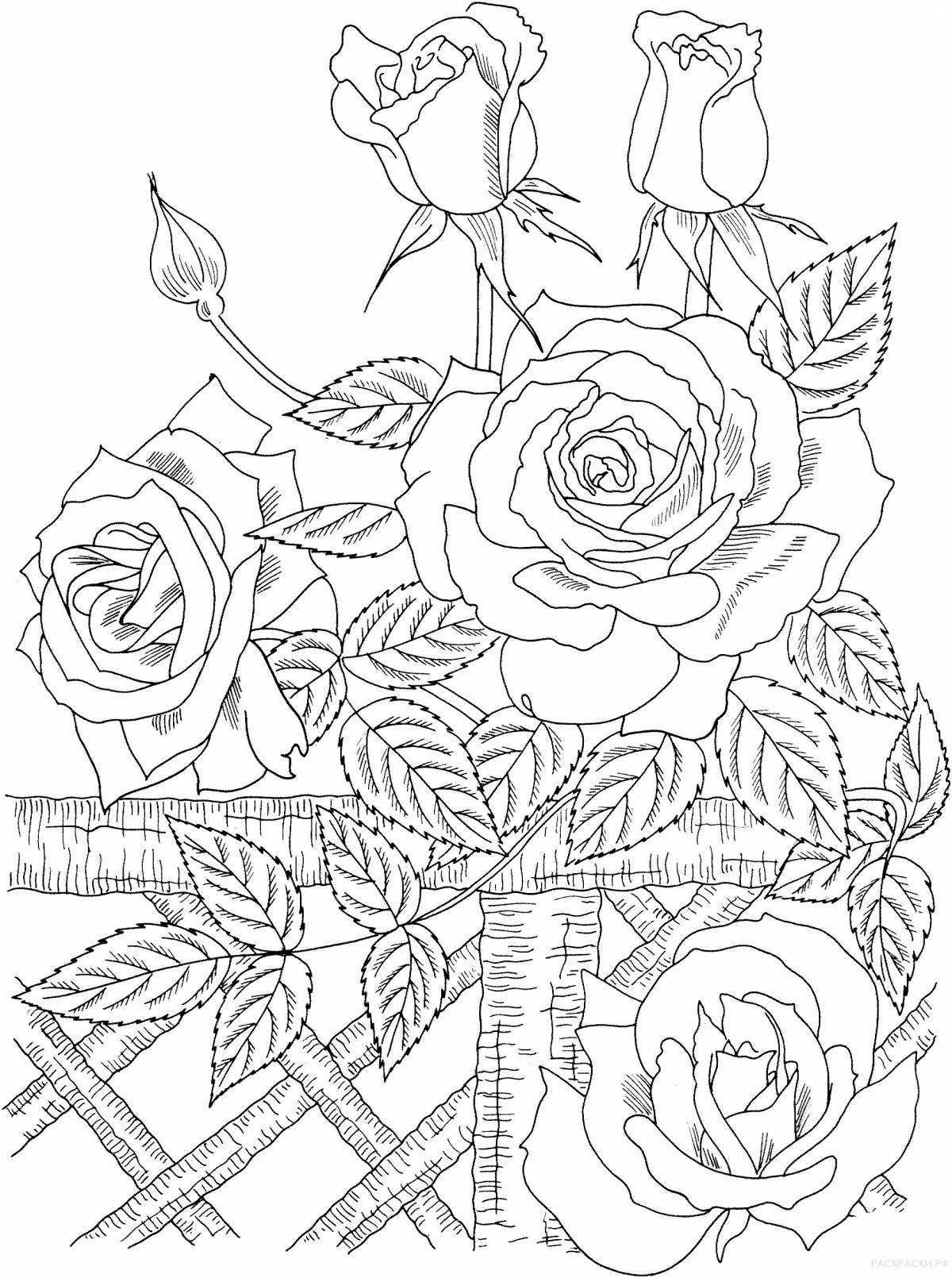 Delightful roses for coloring page