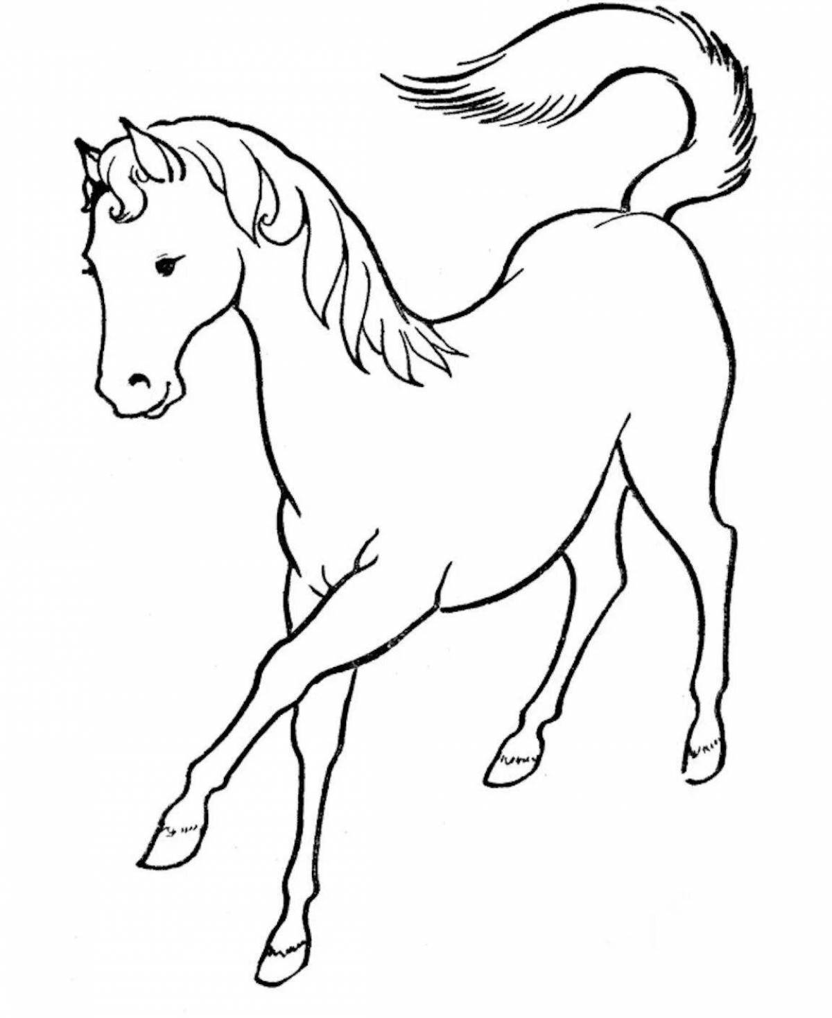 Majestic coloring drawing of a horse