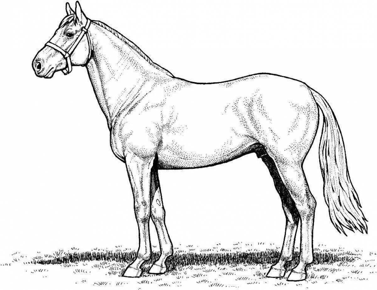 Bright coloring drawing of a horse