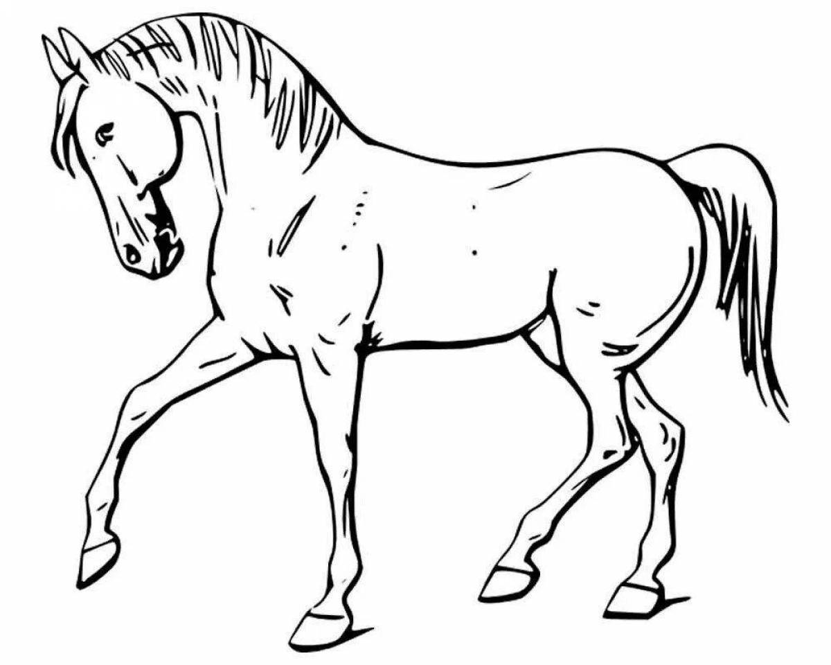 Изысканная раскраска рисунок лошади