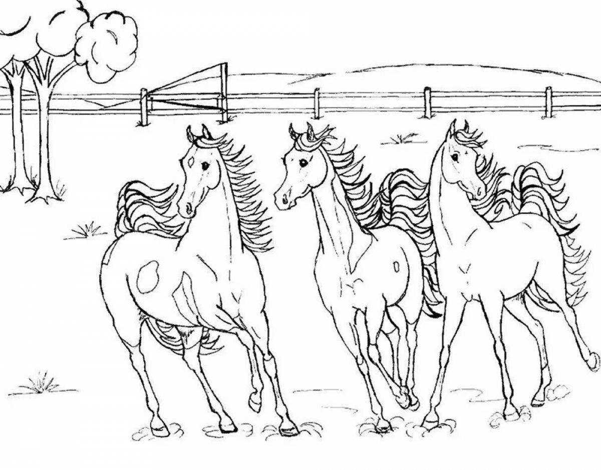 Заманчивая раскраска рисунок лошади
