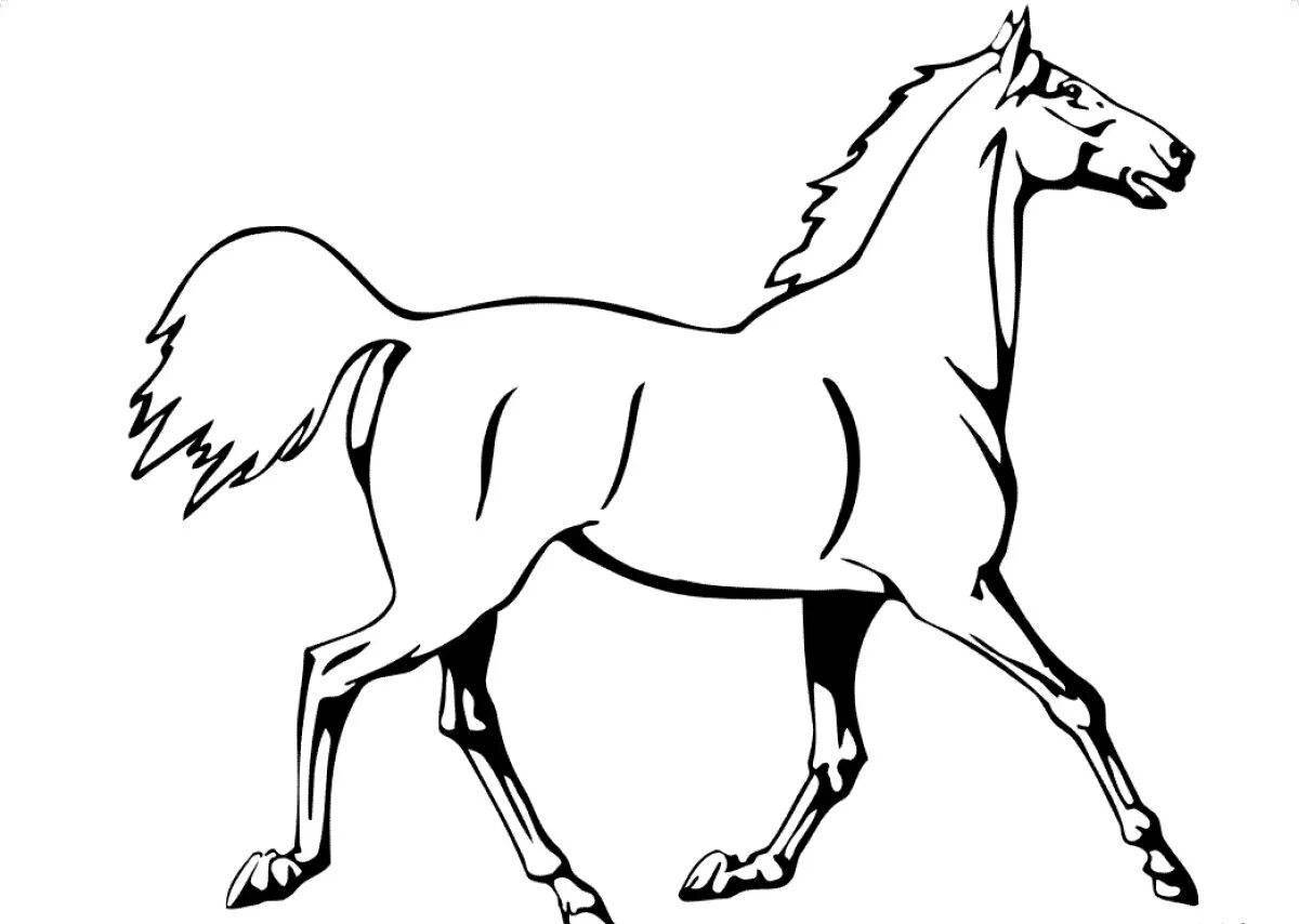 Изящная раскраска рисунок лошади