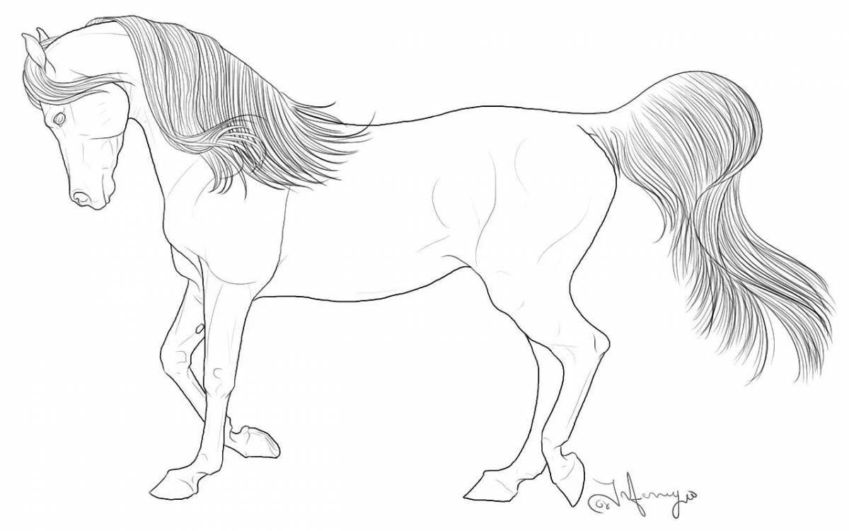 Безмятежная раскраска рисунок лошади