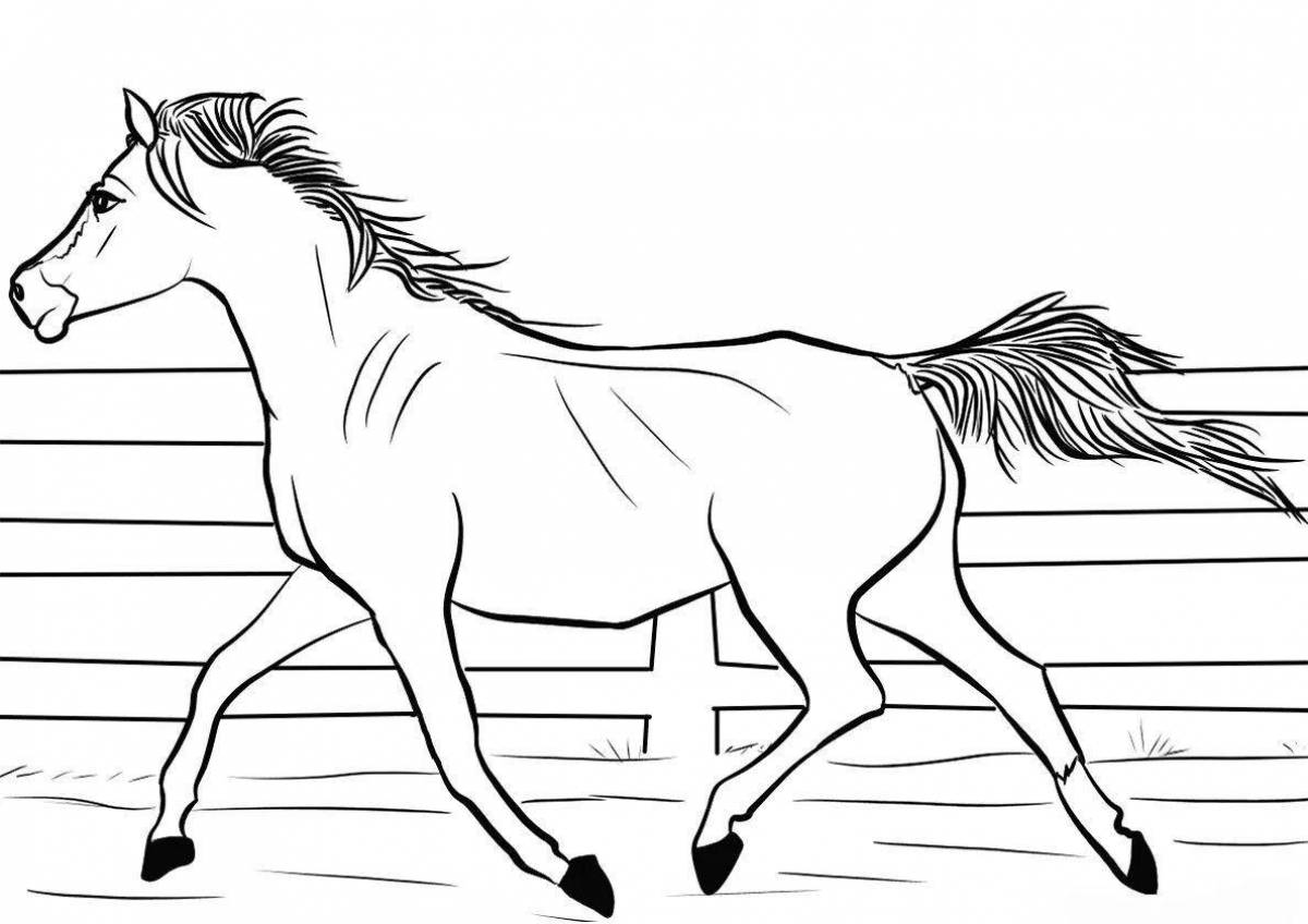 Трогательная раскраска рисунок лошади