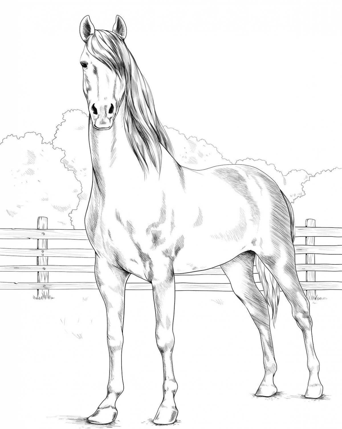 Живая раскраска рисунок лошади
