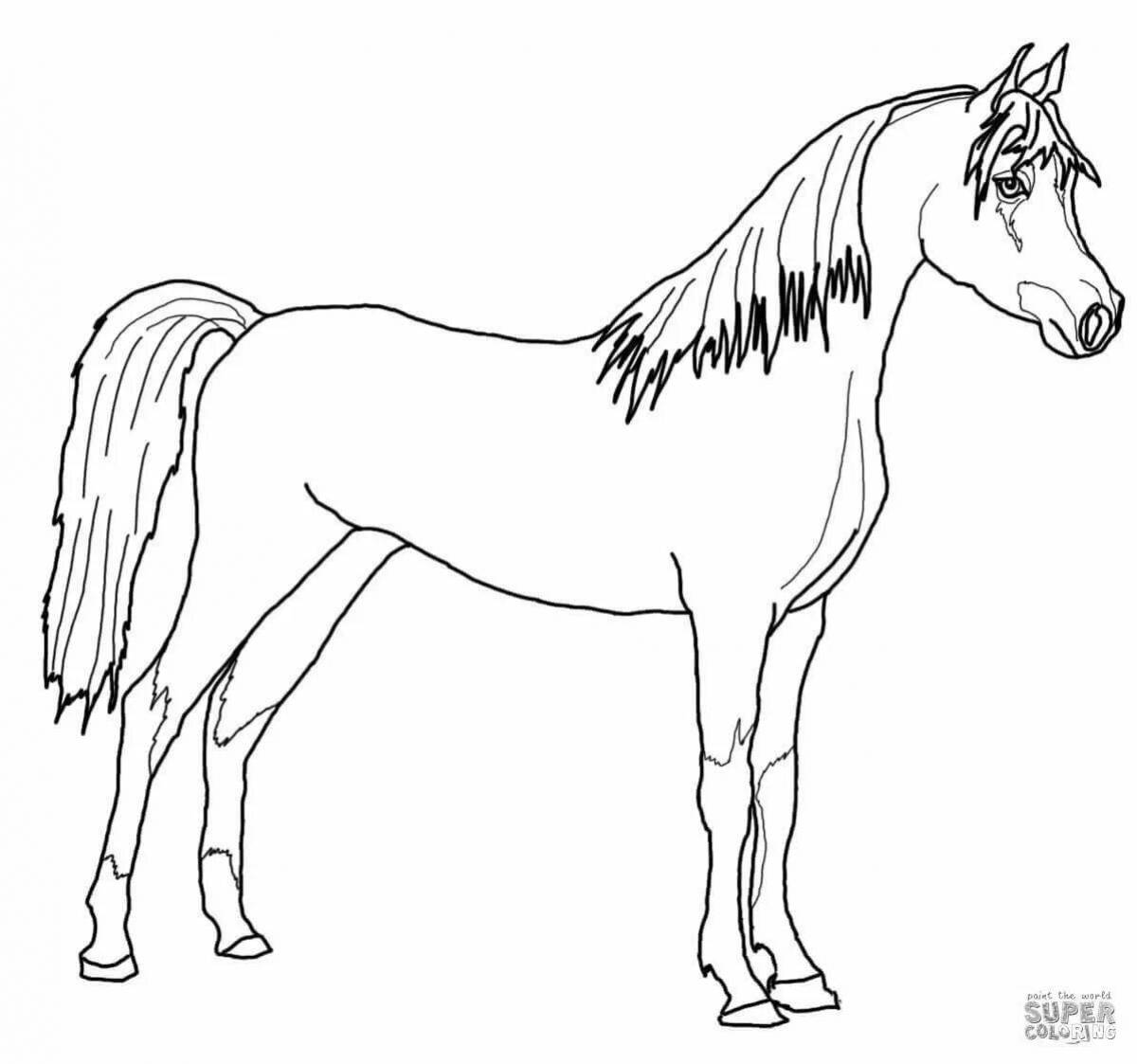Horse drawing #3