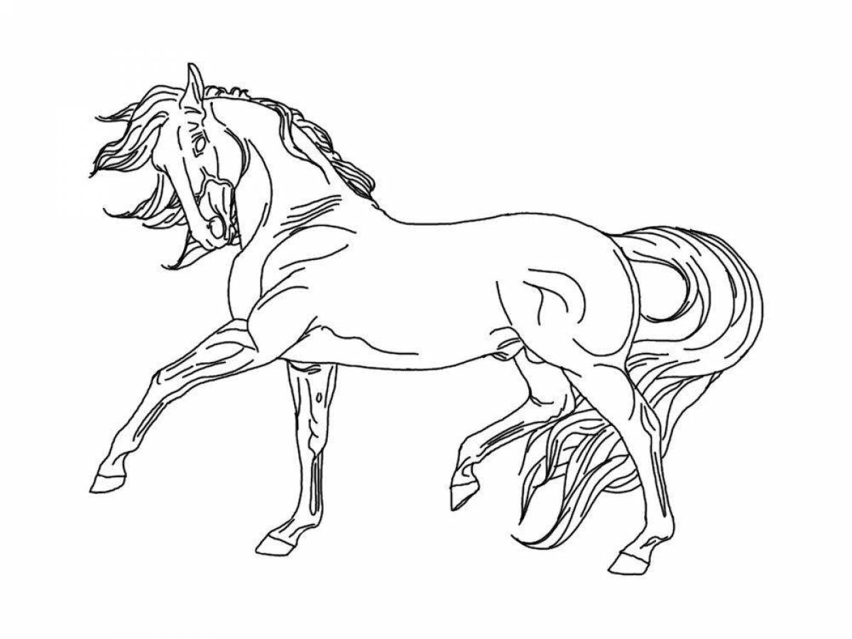Horse drawing #4