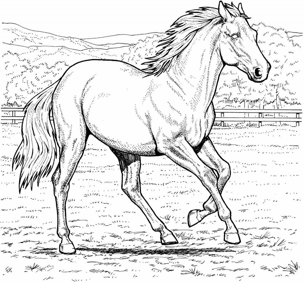 Лошадь рисунок #6