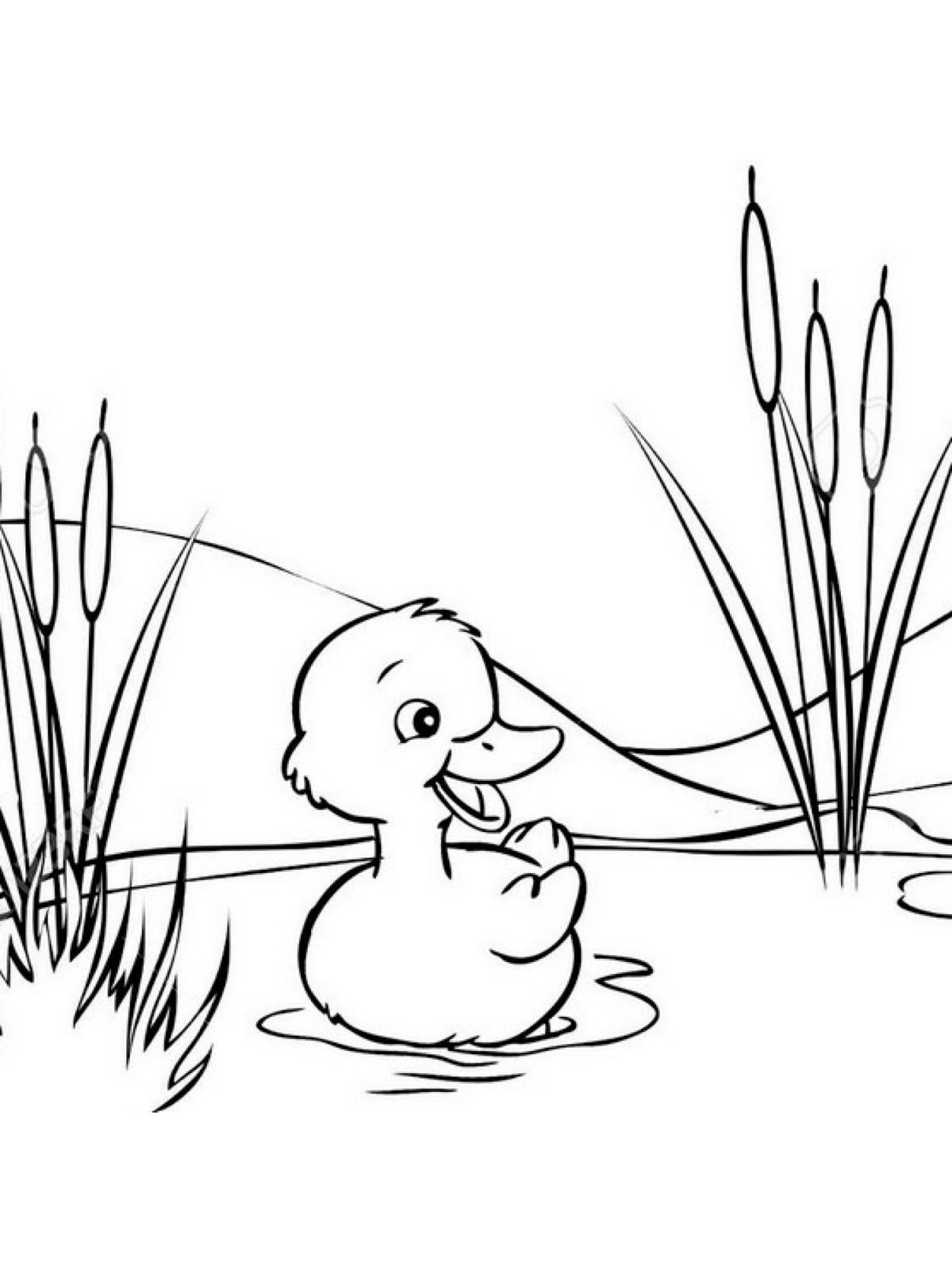 Coloring page brave duck - glorious