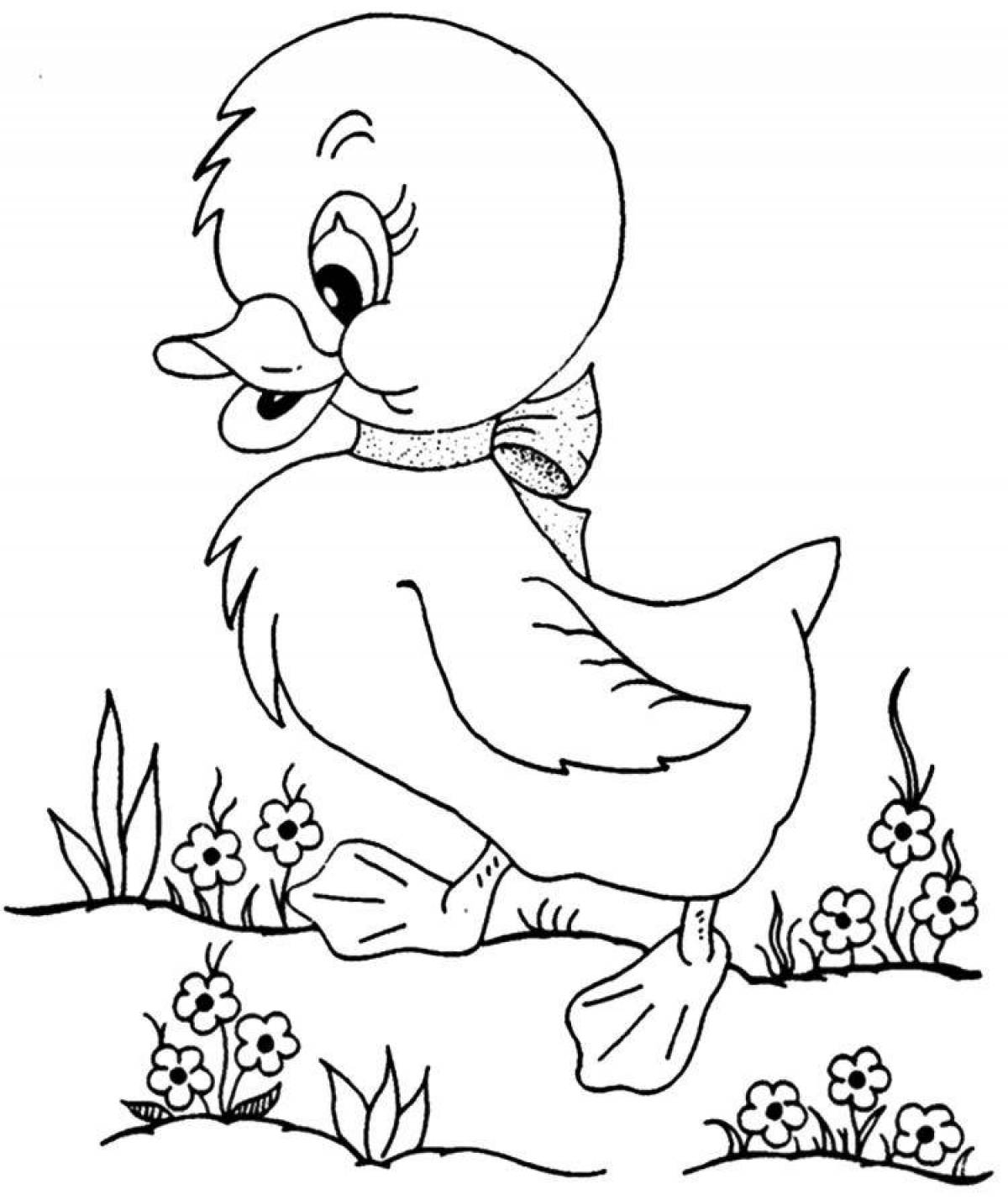 Coloring brave duck - wild