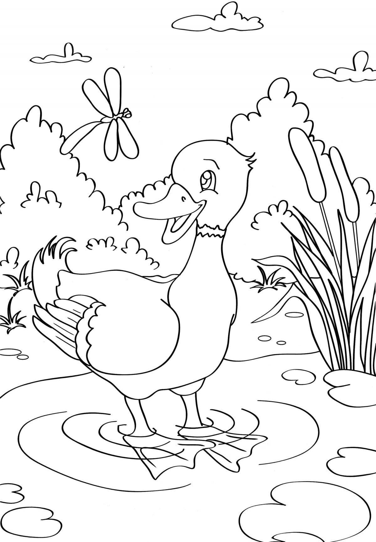 Coloring brave duck - glamorous