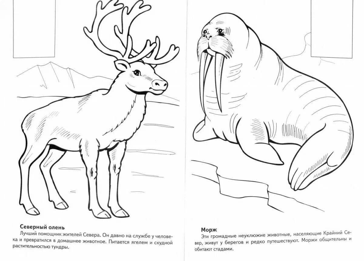 Bright Russian animal coloring book