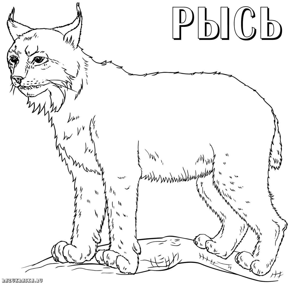 Glorious Russian animal coloring book