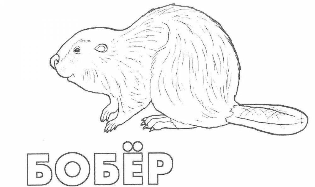 Amazing Russian animal coloring book