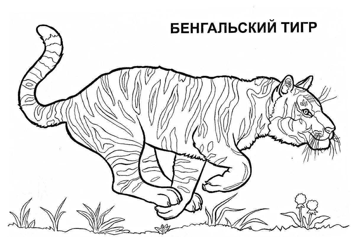 Животные россии #4
