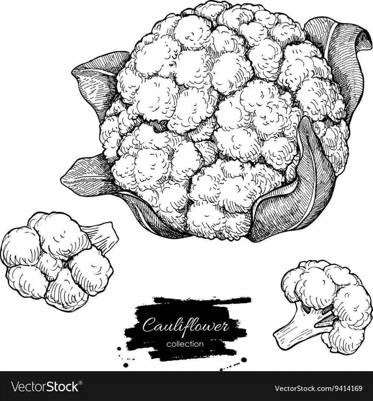 Colorful cauliflower coloring page