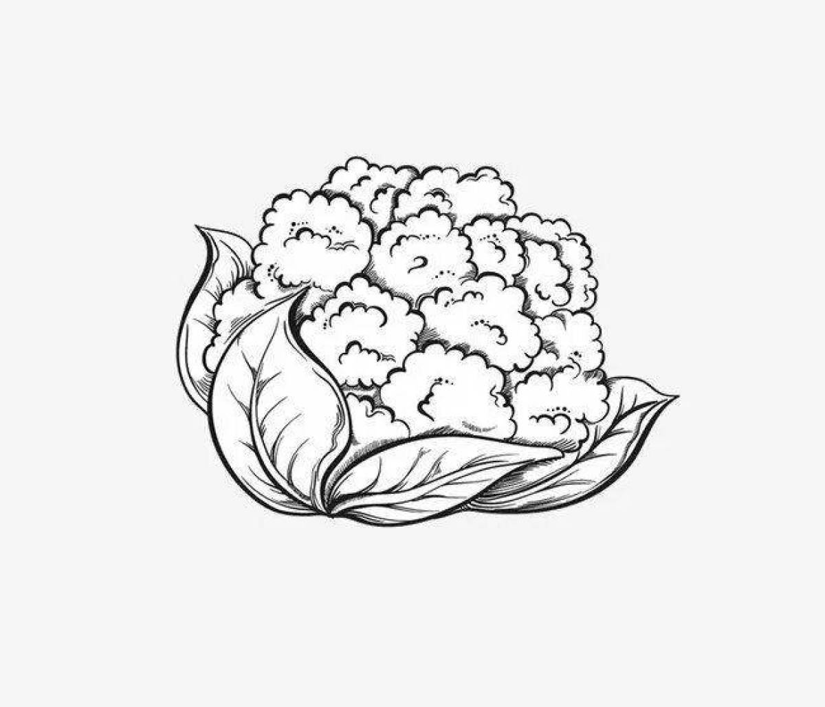 Coloring bright cauliflower