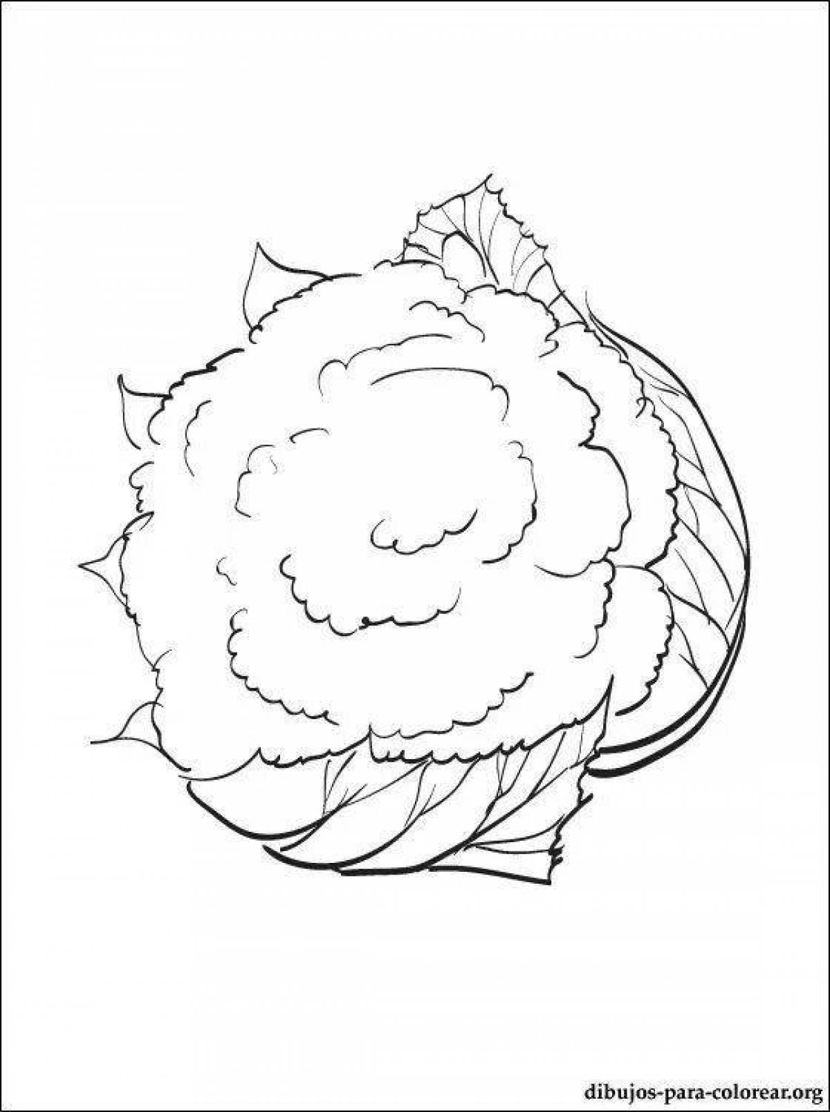 Coloring page joyful cauliflower