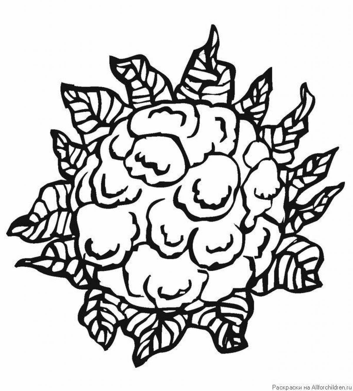Charming cauliflower coloring page