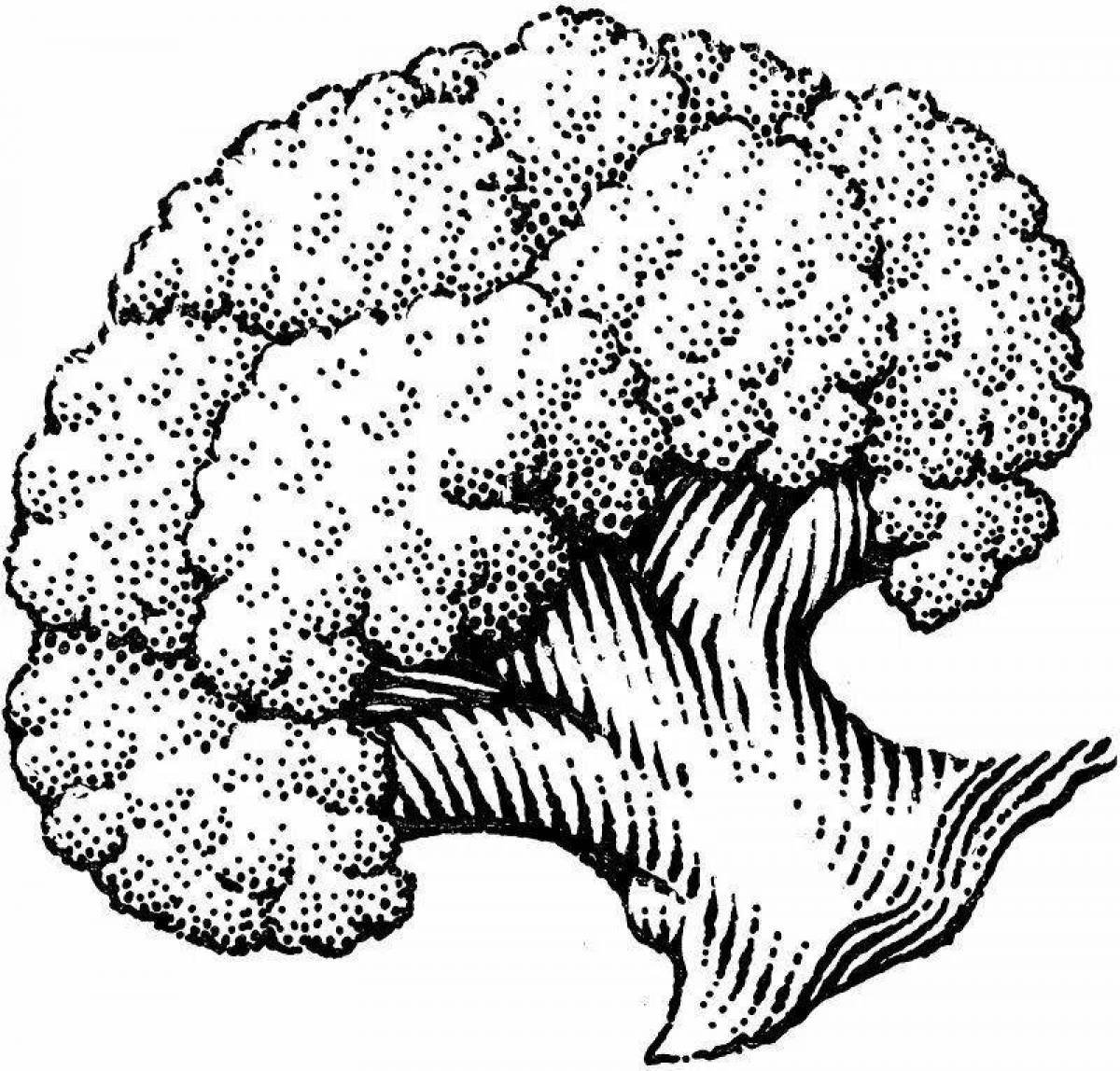 Surreal coloring of cauliflower