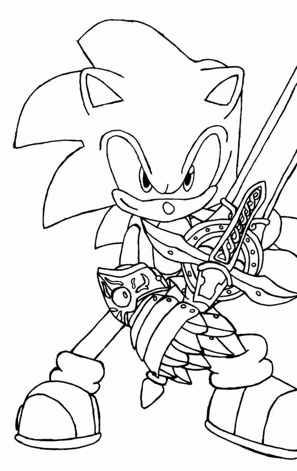 Gorgeous sonic Christmas coloring book