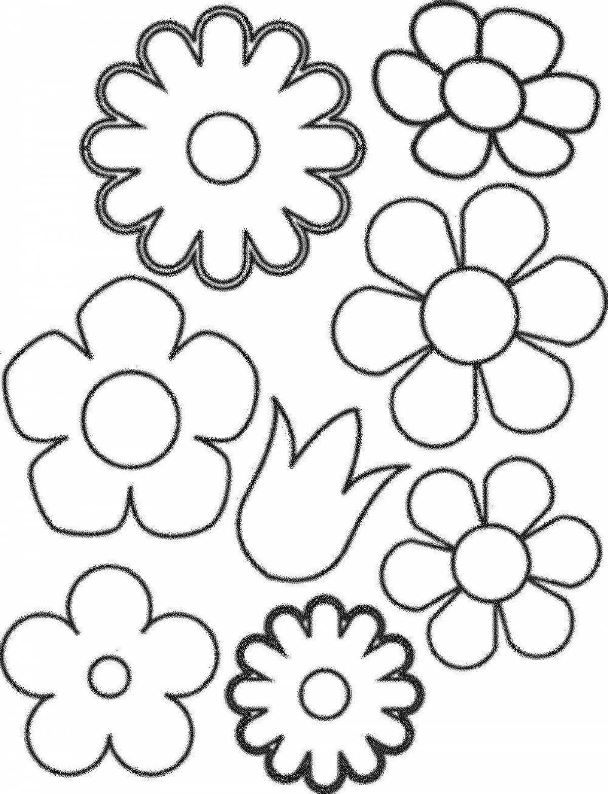 Animated coloring small flowers