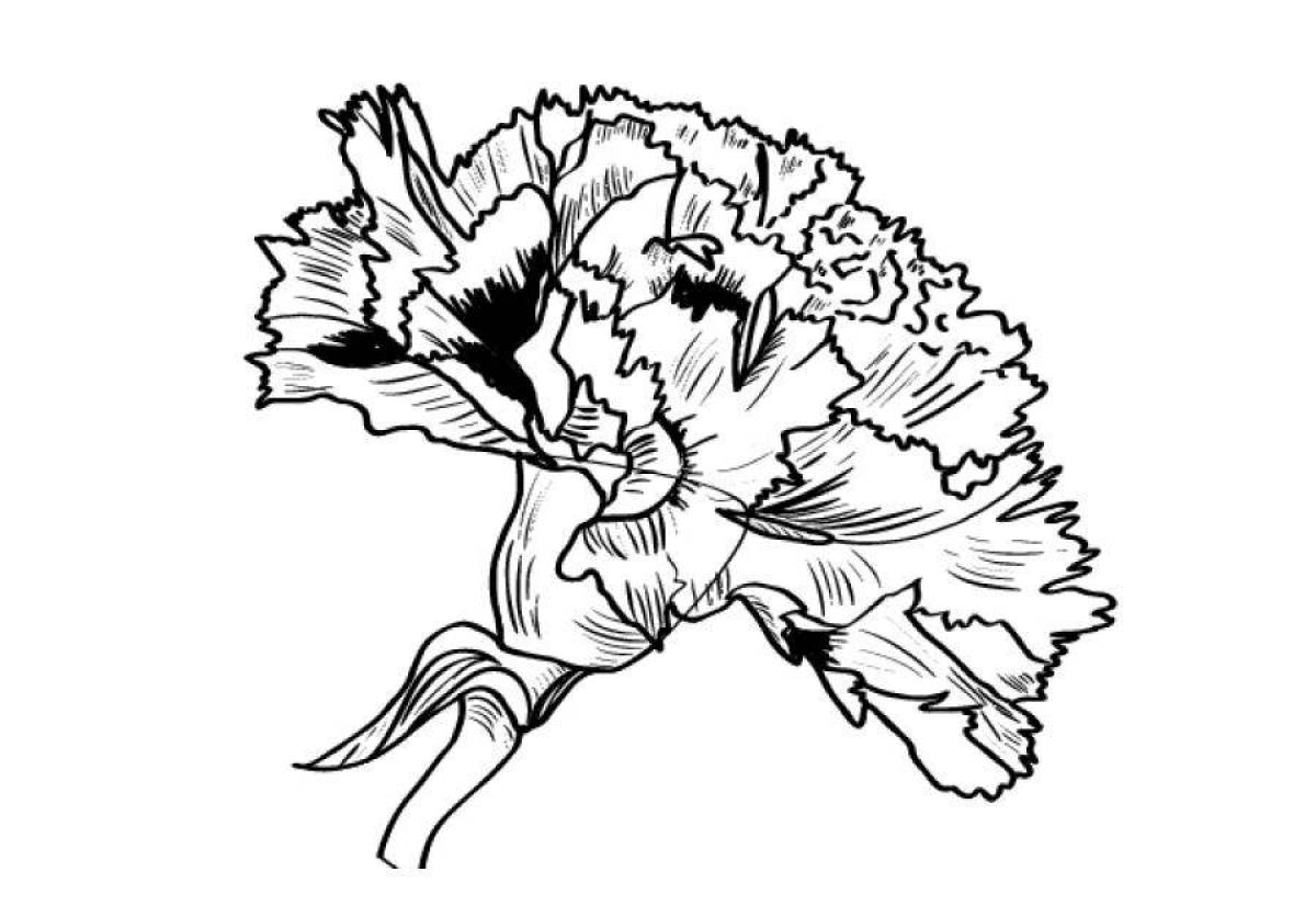 Exquisite carnation flower coloring book