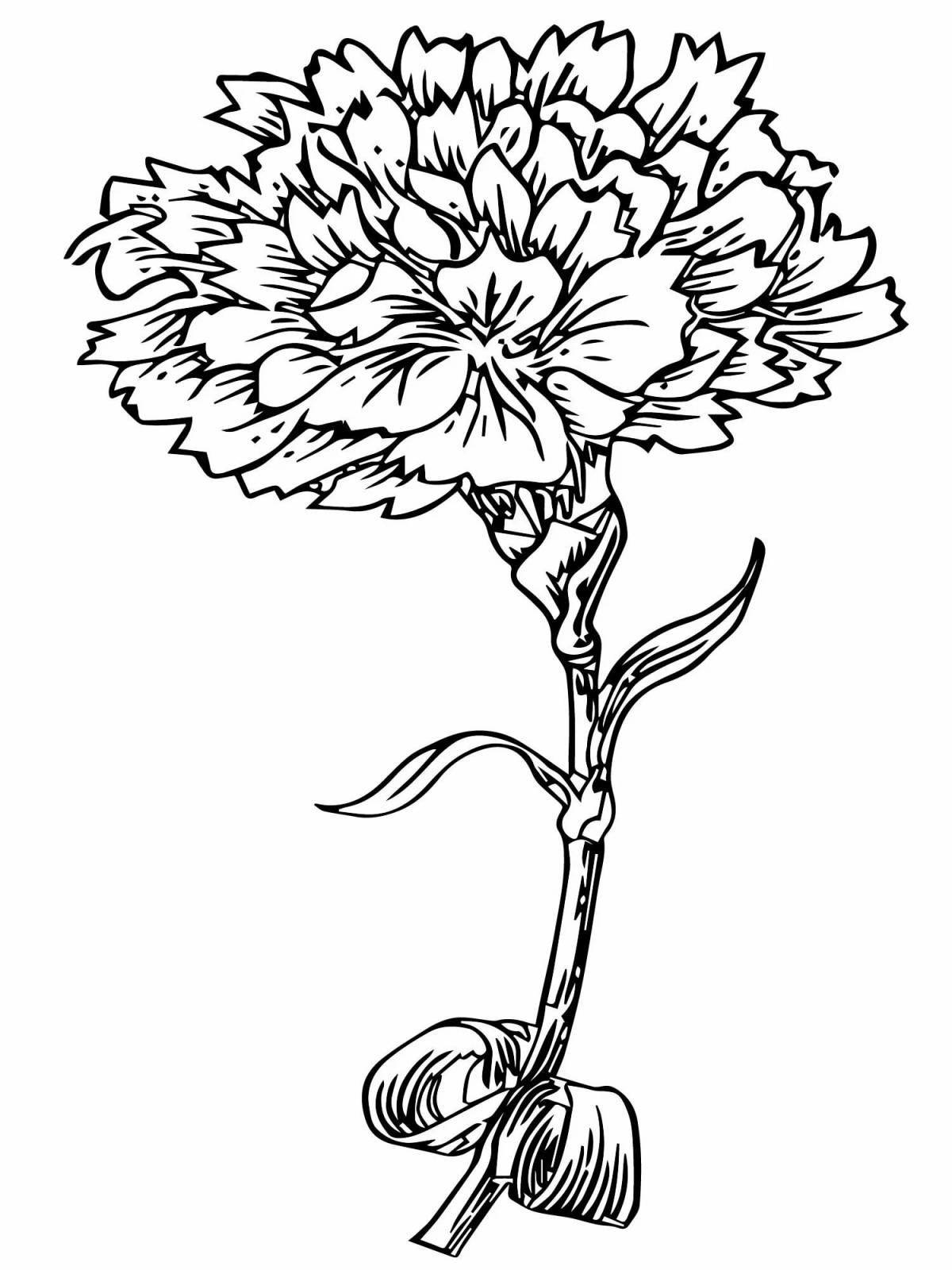 Острая раскраска цветок гвоздики