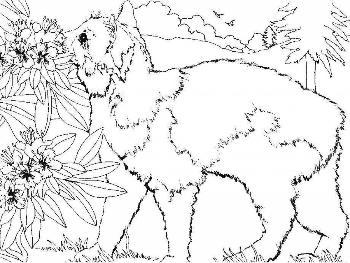 Coloring page beautiful nature and animals