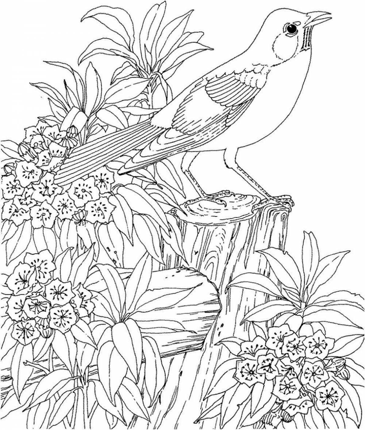 Coloring page fascinating nature and animals