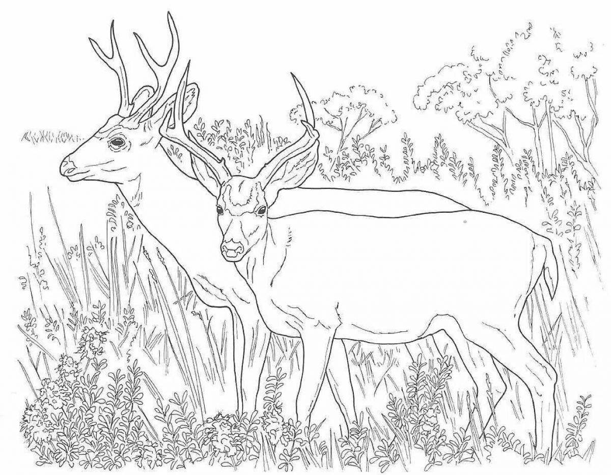 Coloring page gorgeous nature and animals