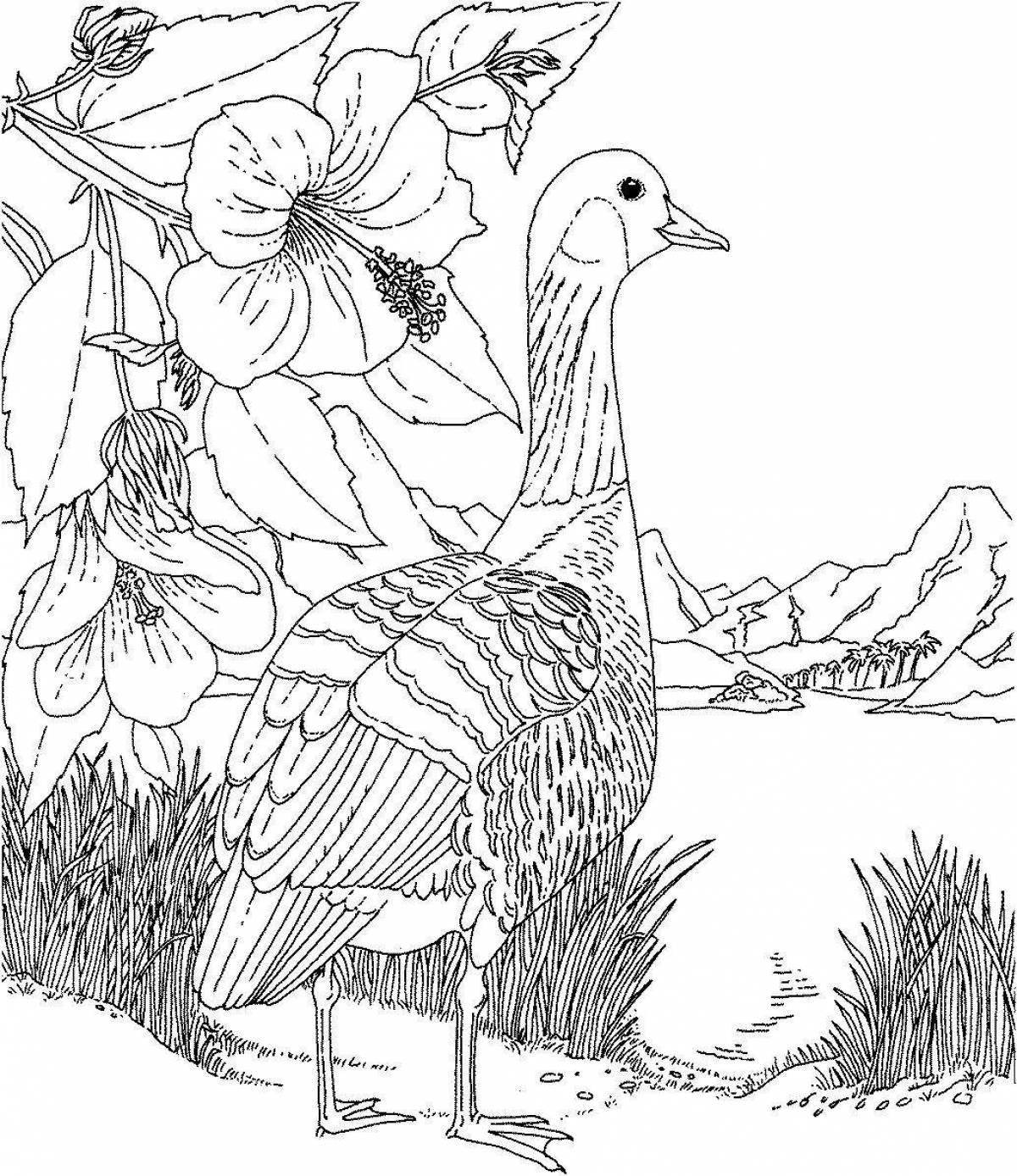 High nature and animals coloring page