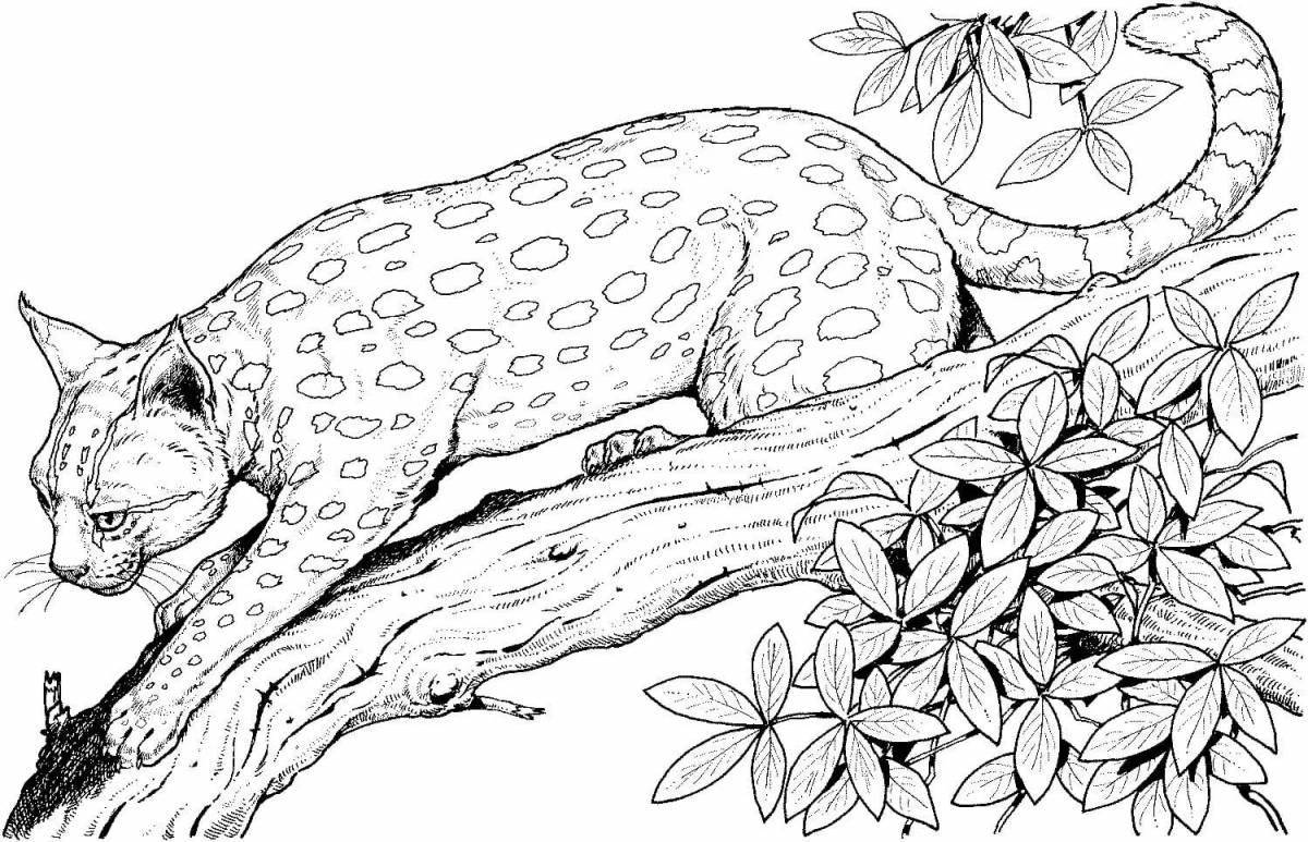 Coloring book shining nature and animals