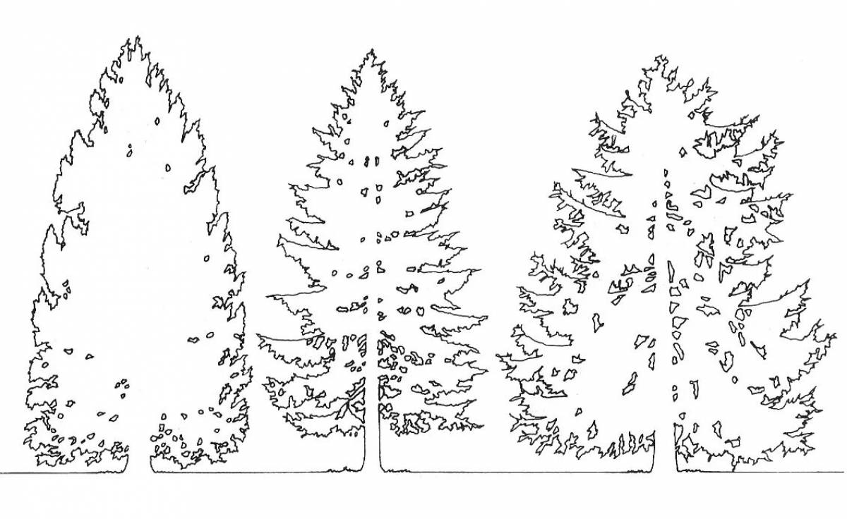 Чертеж ели. Контур хвойного дерева. Хвойные деревья раскраска для детей. Ель и сосна раскраски для детей. Раскраска лиственница дерево для детей.