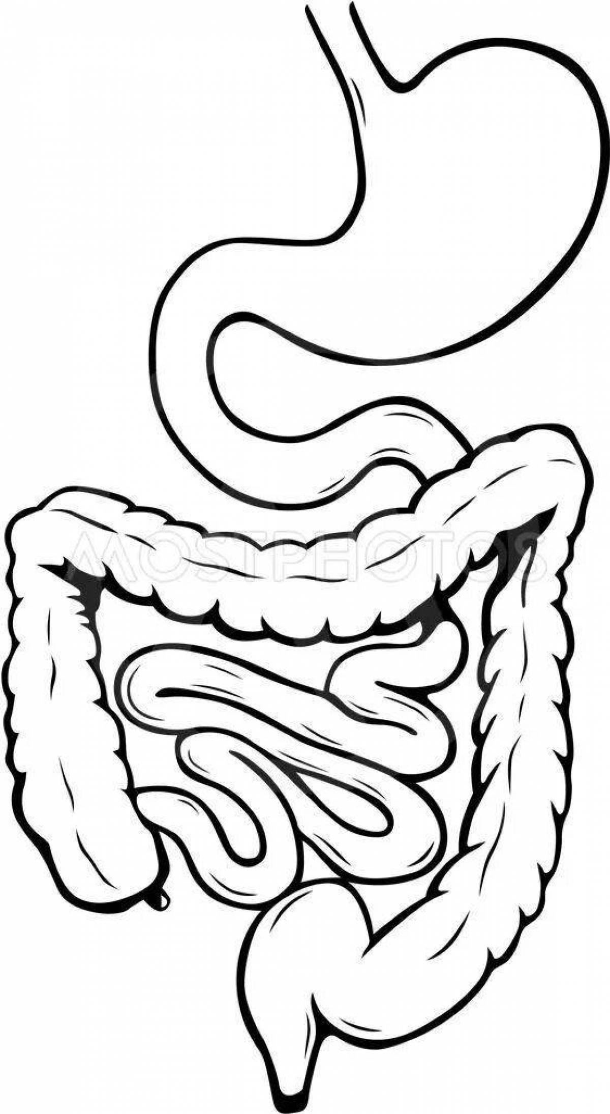 Charming human digestive system coloring book