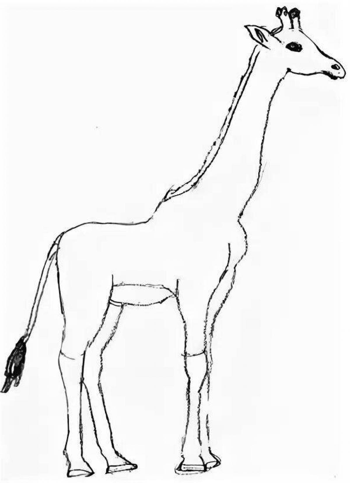 Очаровательная раскраска жираф