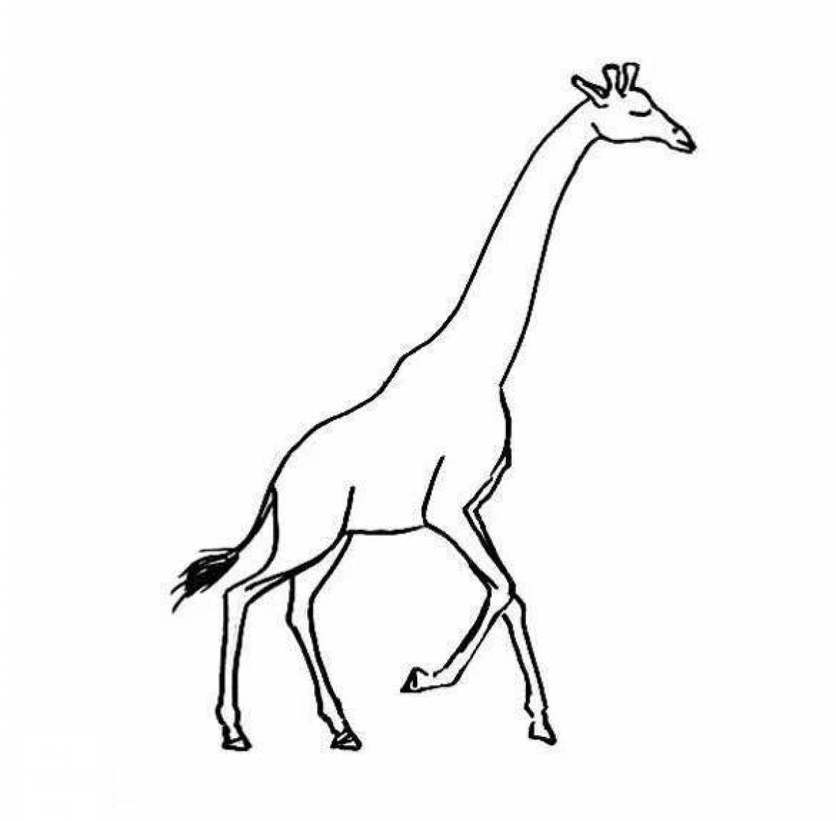 Раскраска элегантный жираф
