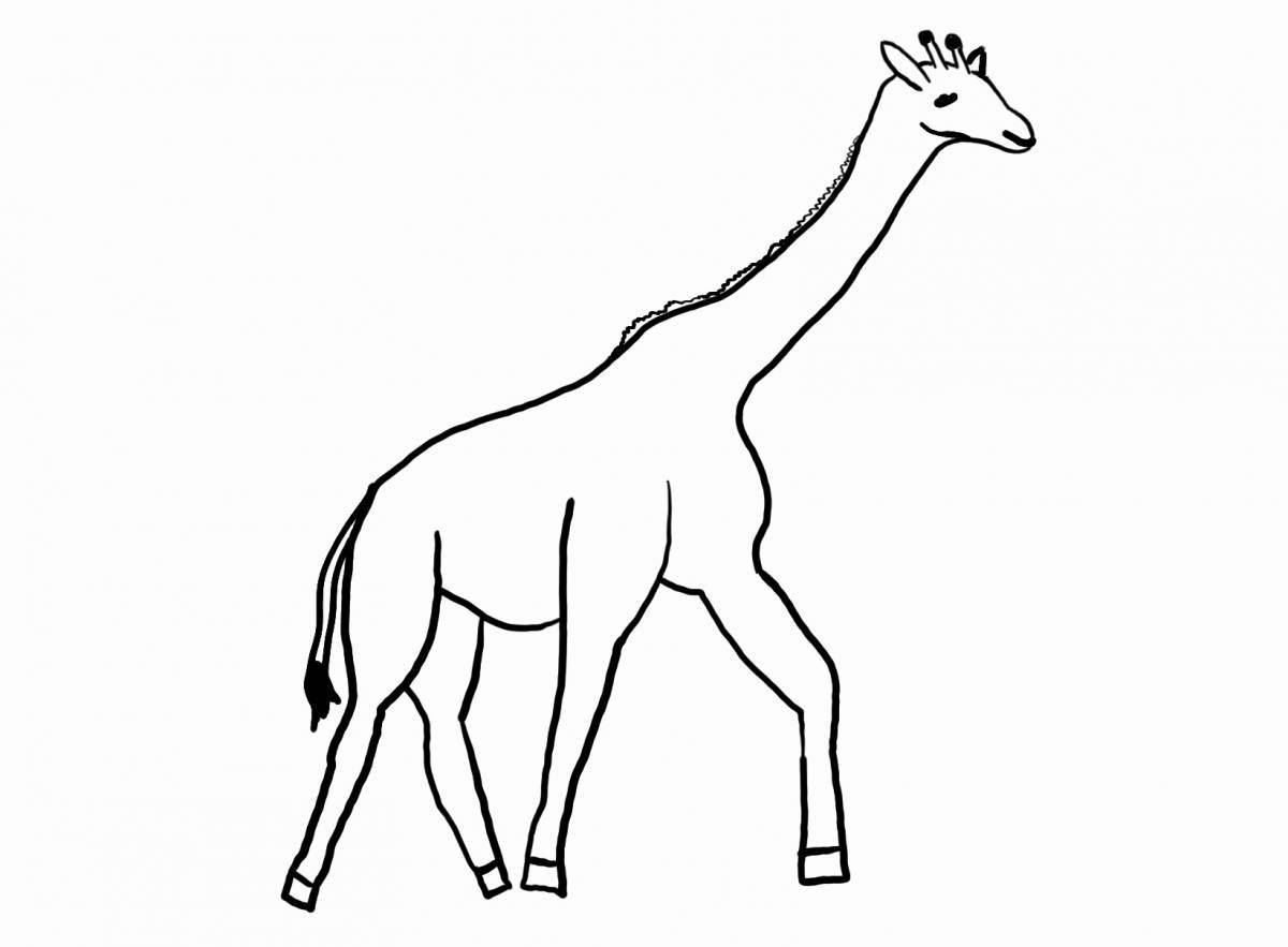 Содержимое страницы раскраски жирафа