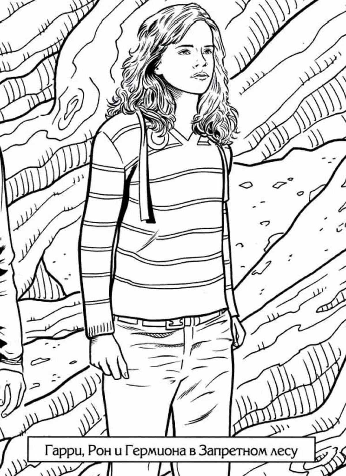 Harry potter hermione #2